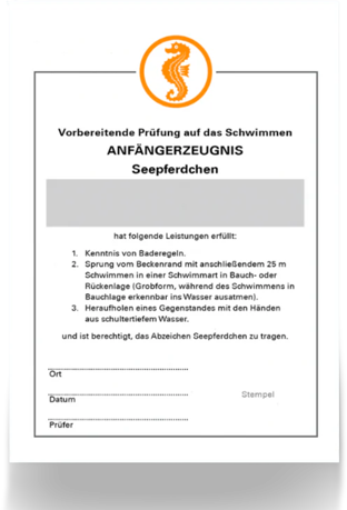 Hauptbild (remove.bg Rohbild)