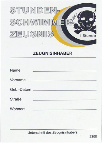 Hauptbild (remove.bg Rohbild)